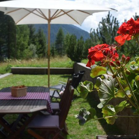 Chalet Do Costa Pozza di Fassa Ngoại thất bức ảnh